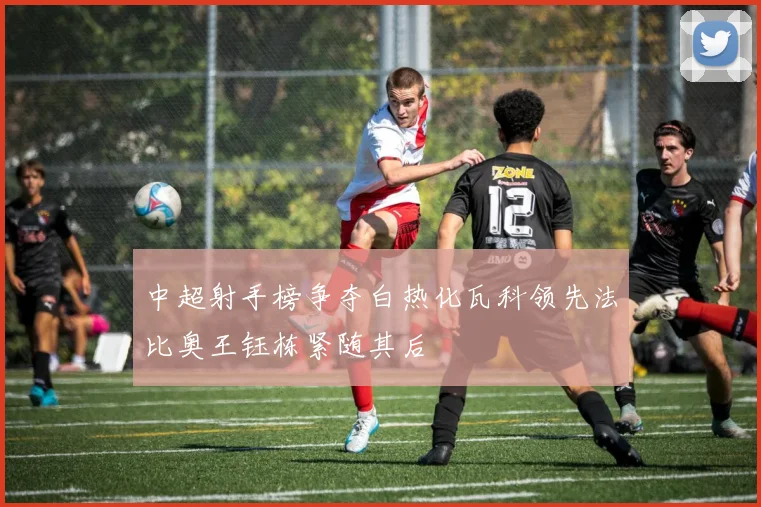 中超射手榜争夺白热化瓦科领先法比奥王钰栋紧随其后